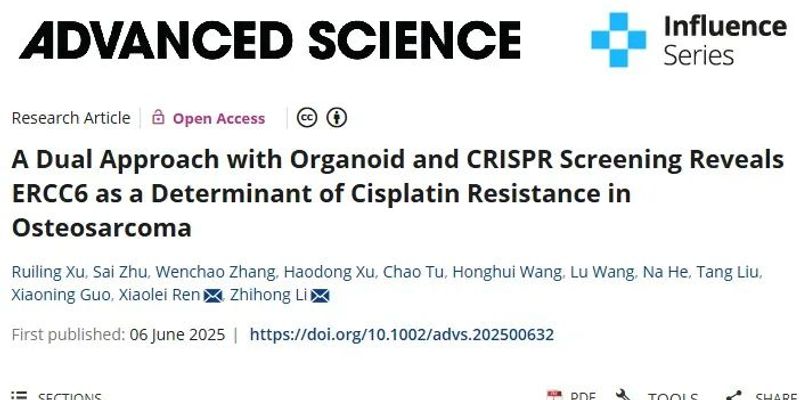 攻克骨肉瘤顺铂耐药：ERCC6与HNRNPM有望成为新型靶向治疗突破口