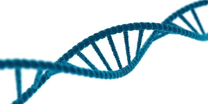 前列腺癌靶向治疗新突破：尼拉帕利与基因突变精准用药研究