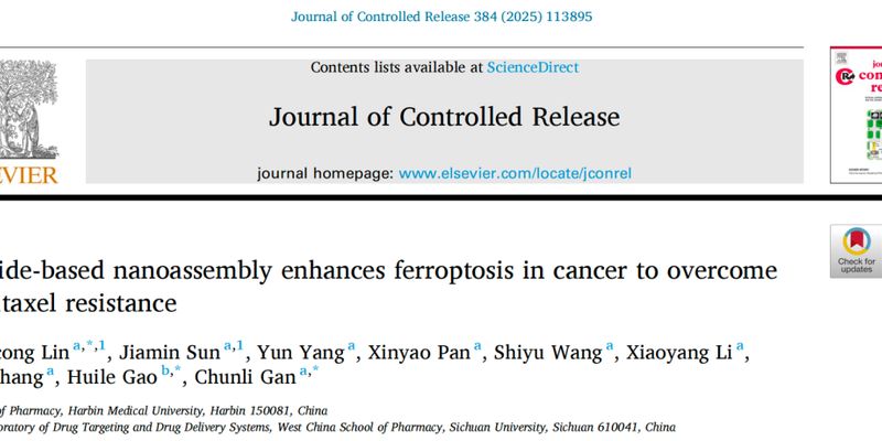 突破紫杉醇耐药：新型纳米药物协同增强铁死亡，为三阴性乳腺癌治疗带来希望