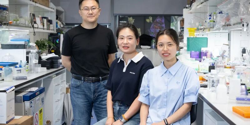 西地那非（万艾可）激活抗癌免疫新希望：Nature揭示肿瘤微环境逆转策略
