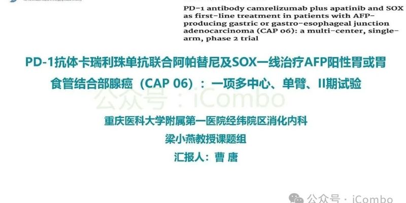 靶向免疫联合化疗：卡瑞利珠单抗与阿帕替尼治疗晚期胃癌疗效显著