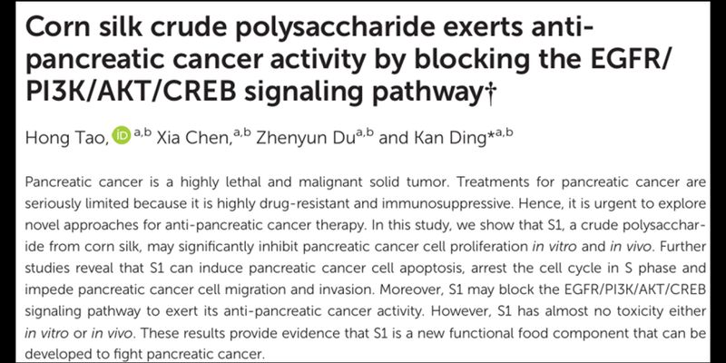突破性研究：玉米须粗多糖S1展现胰腺癌治疗潜力，抑制肿瘤生长达40%