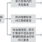 肝细胞癌（HCC）辅助治疗：2025 AASLD指南更新与海外购药策略