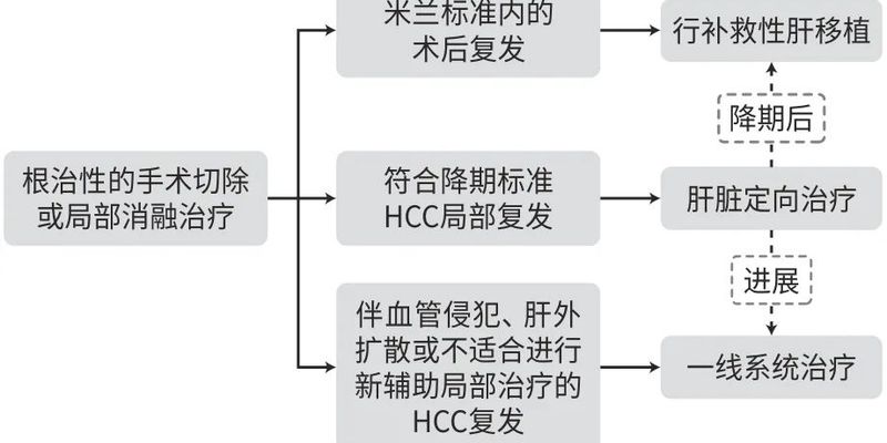 肝细胞癌（HCC）辅助治疗：2025 AASLD指南更新与海外购药策略