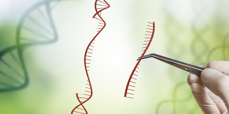 攻克前列腺癌耐药性：PROX1基因与组蛋白去乙酰化酶抑制剂的靶向治疗前景
