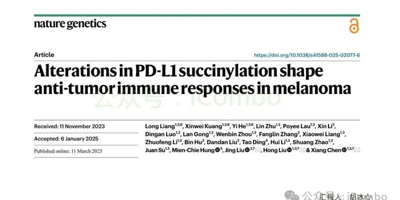 黑色素瘤免疫治疗新进展：PD-L1琥珀酰化修饰如何增强抗肿瘤免疫反应？