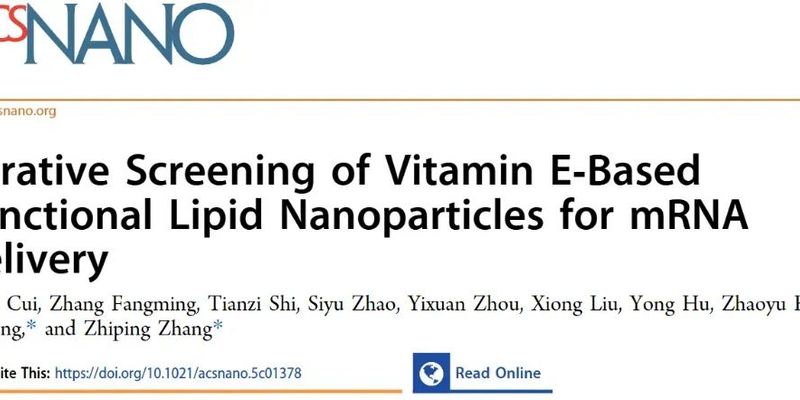 维生素E赋能新型脂质纳米颗粒：mRNA药物递送与结肠癌免疫治疗新突破