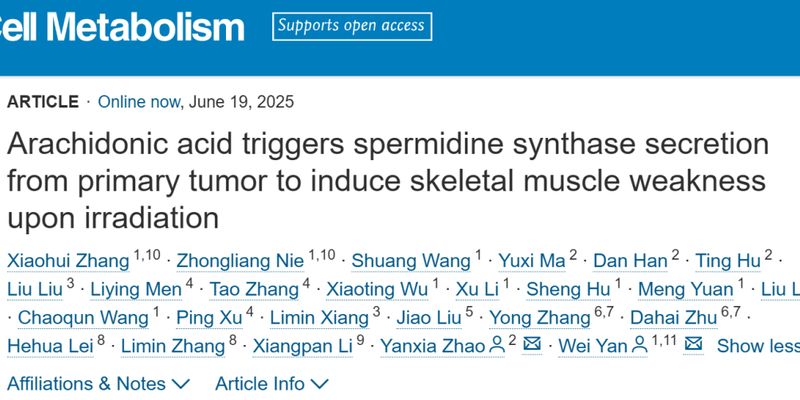 癌症放射治疗后肌肉无力：新研究揭示花生四烯酸与亚精胺合酶机制，氯沙坦或可改善副作用