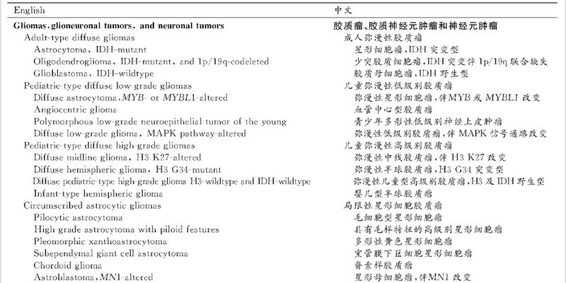 胶质瘤H3 K27M突变：精准诊断与预后评估的关键分子标记