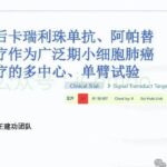 广泛期小细胞肺癌一线治疗新进展：卡瑞利珠单抗联合阿帕替尼的II期临床研究揭示生存希望