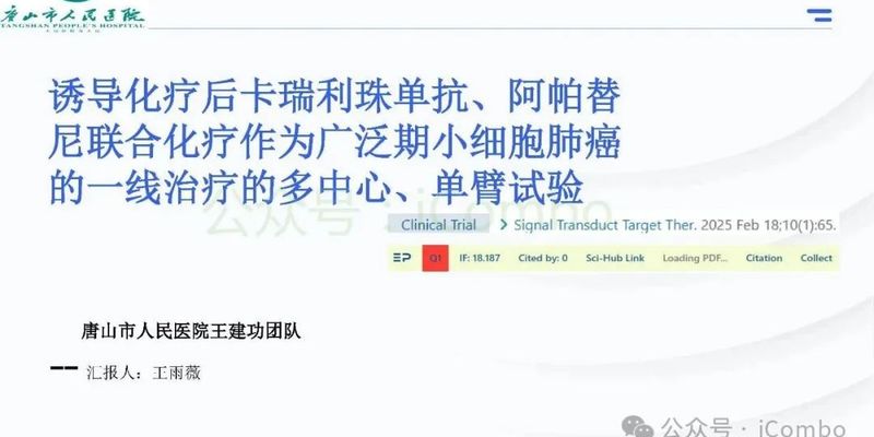 广泛期小细胞肺癌一线治疗新进展：卡瑞利珠单抗联合阿帕替尼的II期临床研究揭示生存希望
