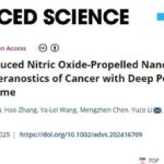 超声驱动纳米马达：突破癌症实体瘤穿透性，实现精准诊疗新进展