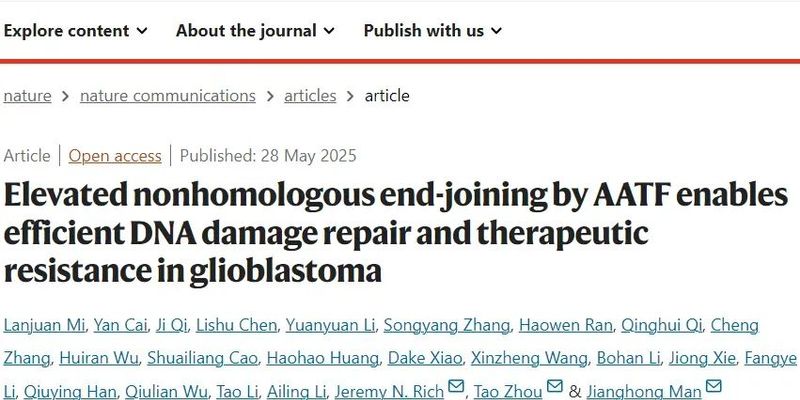 胶质母细胞瘤耐药机制新发现：AATF如何影响DNA修复与靶向治疗潜力