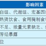 食管癌诊疗指南2025：从预防到治疗的权威解读