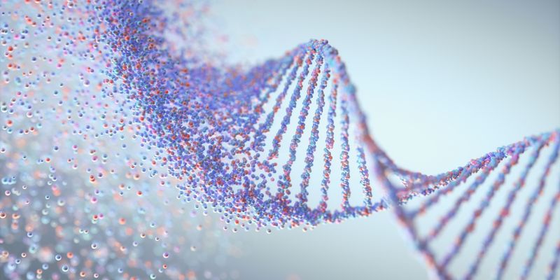 儿童癌症幸存者心肌病遗传风险：TTN与BAG3基因研究新发现