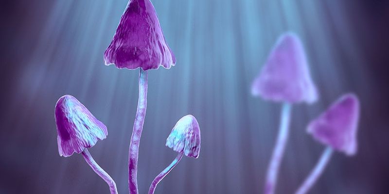 癌症患者抑郁焦虑新希望：裸盖菇素单次剂量展现长期疗效