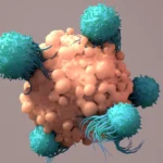 实体瘤治疗新希望：深度解析“纳米免疫导弹”CAR-iNEV如何精准抗癌与预防复发