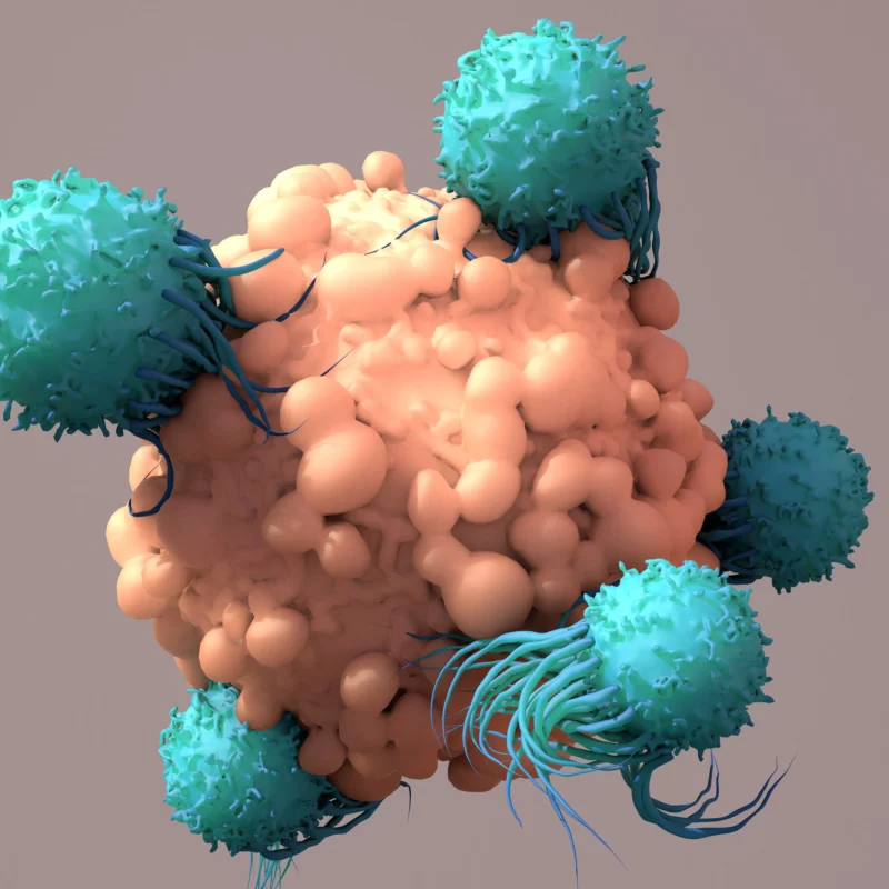 实体瘤治疗新希望：深度解析“纳米免疫导弹”CAR-iNEV如何精准抗癌与预防复发
