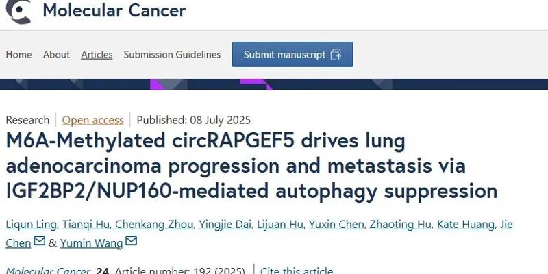 解码肺腺癌转移新机制：circRAPGEF5成为潜在治疗靶点