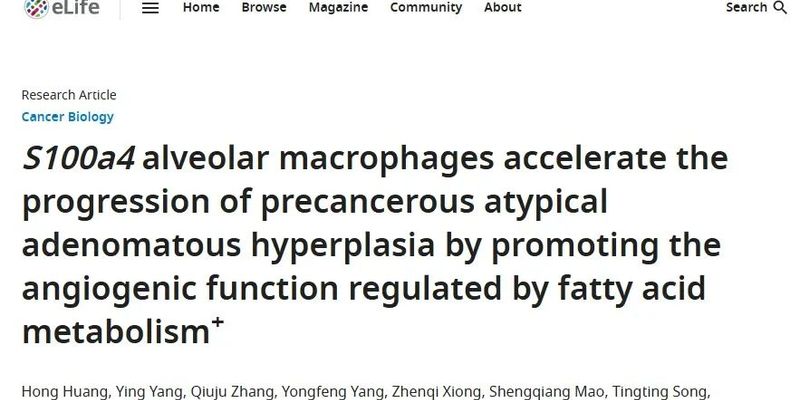 肺癌早期干预新方向：研究发现S100a4+巨噬细胞竟是癌前病变“加速器”