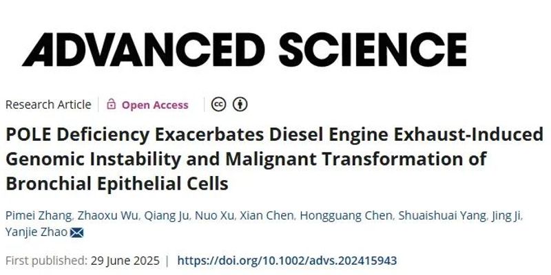 肺癌新发现：POLE基因缺陷如何成为柴油尾气致癌的“帮凶”？