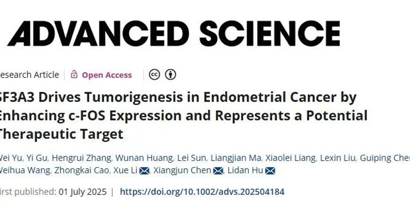 攻克子宫内膜癌耐药新希望：靶向SF3A3的苯乙基异硫氰酸酯展现治疗潜力