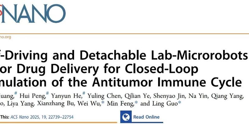 微型化疗机器人：实现肿瘤靶向递送与免疫协同治疗的革命性策略