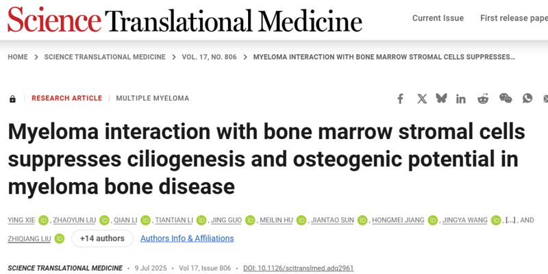 多发性骨髓瘤骨病治疗新曙光：研究揭示CD40靶点关键作用及治疗潜力
