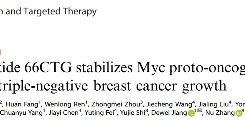 三阴性乳腺癌新发现：66CTG小肽如何稳定c-Myc，成为潜在治疗新靶点？