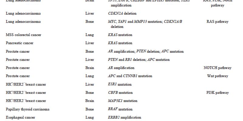 揭秘肿瘤转移：为什么癌细胞会“偏爱”肝、肺、骨等特定器官？
