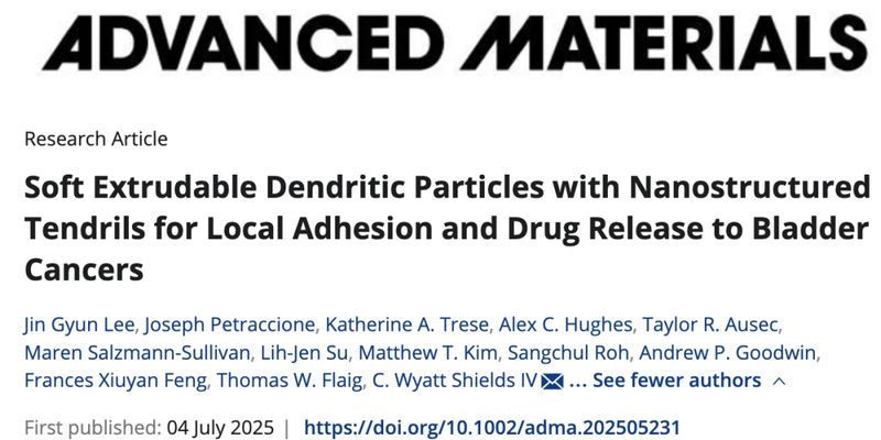 膀胱癌治疗新策略：仿壁虎技术让吉西他滨药效倍增，显著抑制肿瘤生长