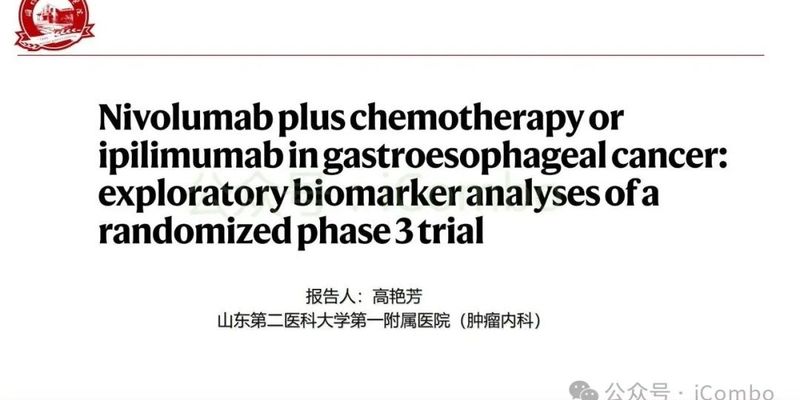 胃癌/食管癌治疗新思路:纳武利尤单抗联合方案如何选?生物标志物揭示答案