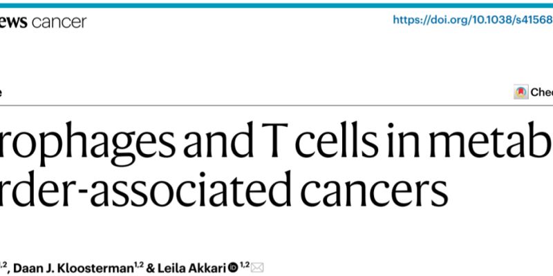 代谢紊乱增加癌症风险?《自然》综述揭秘肥胖、糖尿病与肝癌、胰腺癌的免疫关联