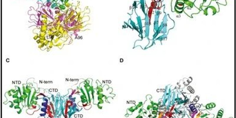 攻克肺癌化疗耐药新方向：NADK突变或成关键靶点