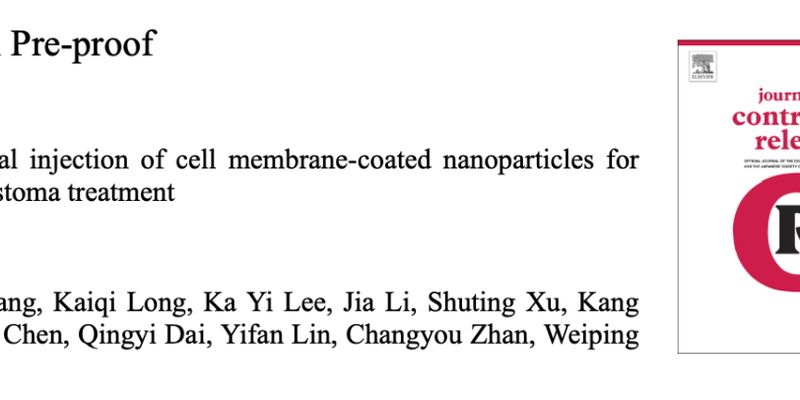 依托泊苷治疗视网膜母细胞瘤新突破：纳米技术实现精准靶向，提升疗效与安全性