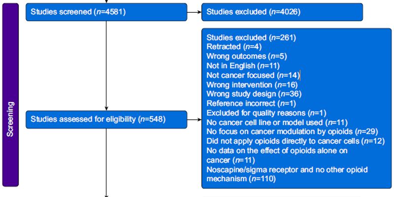 癌症止痛用吗啡安全吗？系统综述：高剂量或抑制肿瘤，低剂量需警惕