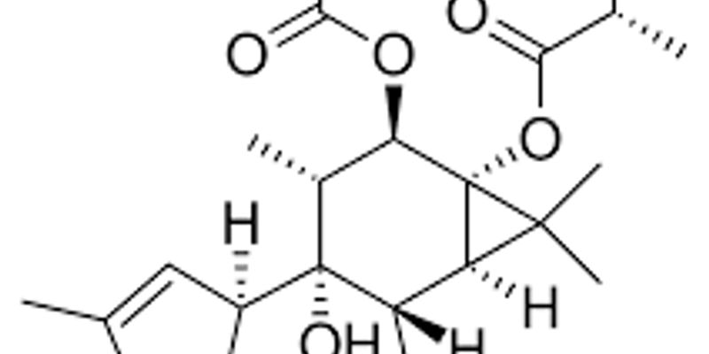 Tigilanol tiglate治疗软组织肉瘤新进展：临床试验中超半数肿瘤完全清除