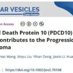 研究发现：PDCD10蛋白促进透明细胞肾细胞癌进展，厄洛替尼或成新解