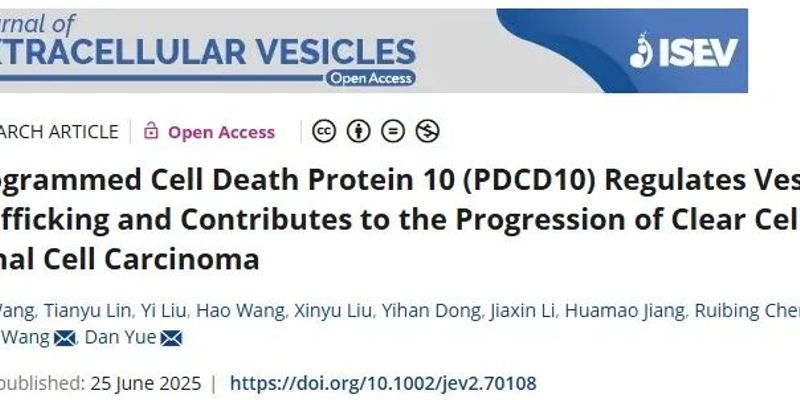 研究发现：PDCD10蛋白促进透明细胞肾细胞癌进展，厄洛替尼或成新解