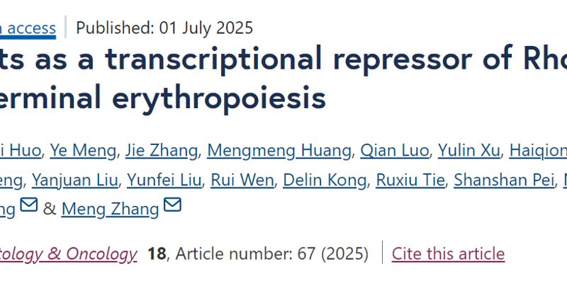 揭秘BRD4新功能：抑制RhoB促进红细胞成熟，为血液病治疗提供新靶点