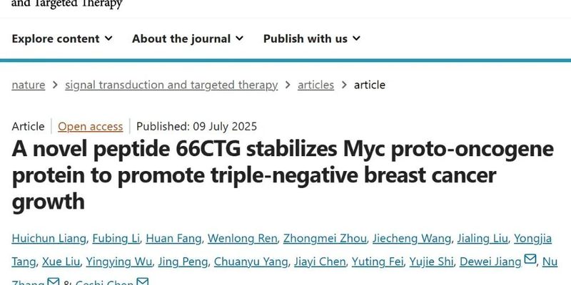 三阴性乳腺癌新发现：揭秘66CTG小肽如何通过稳定c-Myc促进肿瘤生长