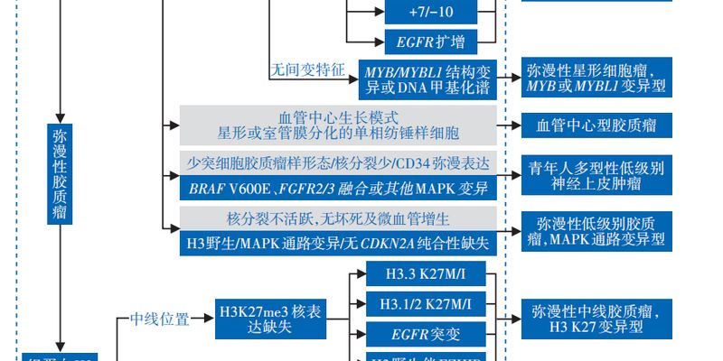 脑胶质瘤等中枢神经系统肿瘤治疗前,为何必须做基因检测?