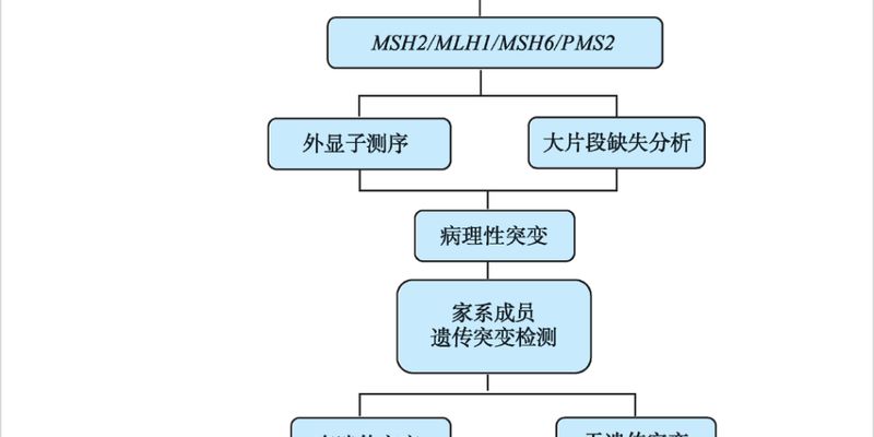 林奇综合征筛查：为何不能忽视MLH1/MSH2基因的大片段重排？