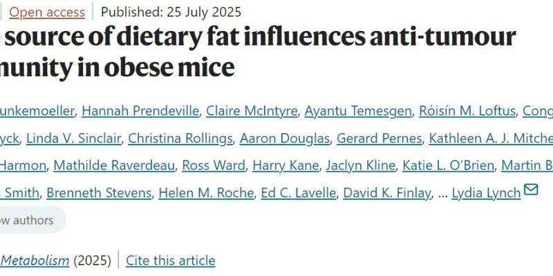 肥胖与癌症新发现：吃错脂肪或加速肿瘤生长，如何调整饮食增强免疫力？