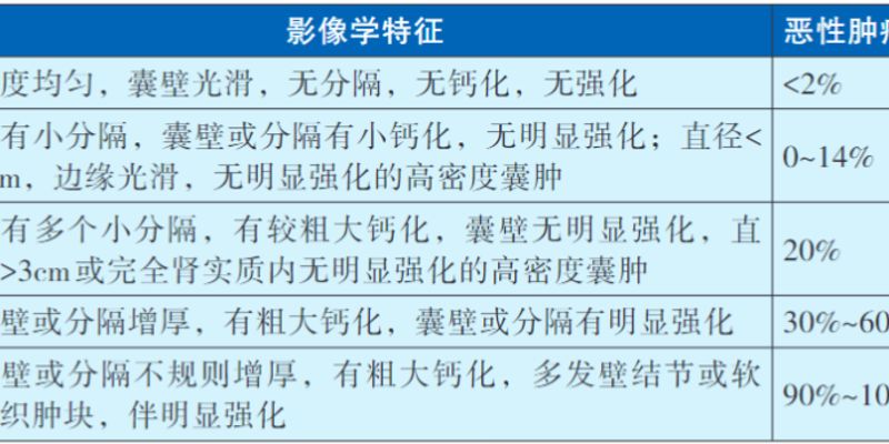 深度解析2025版CACA肾癌指南:掌握最新诊断、分期与病理分型
