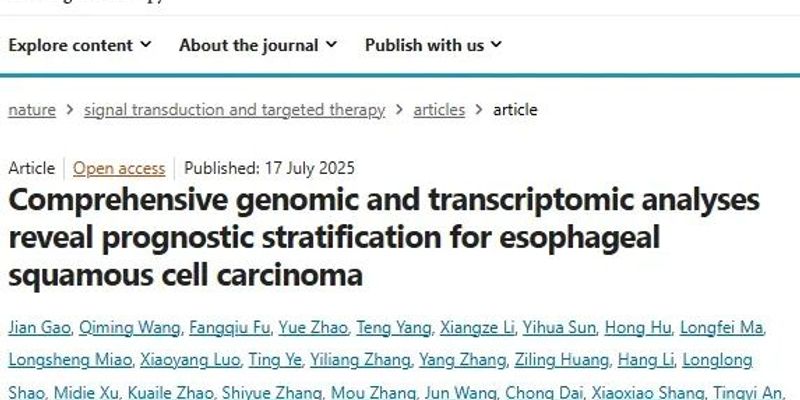 食管癌治疗新方向:最新研究揭示三种分子分型,精准预测预后与复发风险