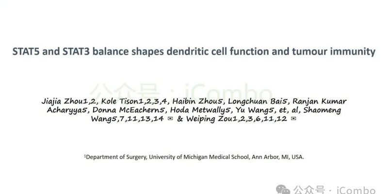 Nature重磅发现：STAT3/STAT5失衡或为免疫治疗耐药元凶，新策略有望破局