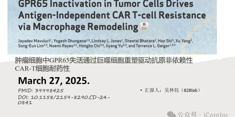 CAR-T治疗白血病为何会耐药？新研究揭示GPR65是关键