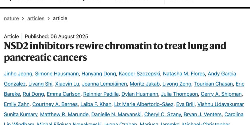 KRAS突变肺癌与胰腺癌新策略：NSD2抑制剂协同索托拉西布，重塑抗癌希望