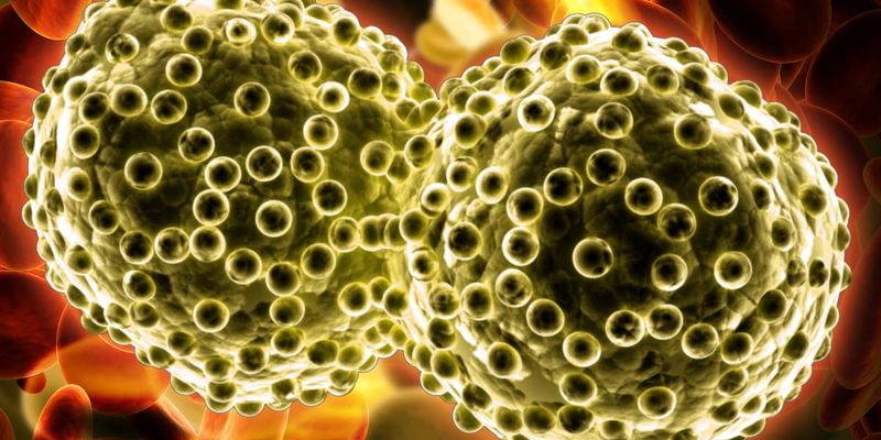 情绪困扰如何影响非小细胞肺癌免疫治疗效果？最新研究揭示心理健康重要性